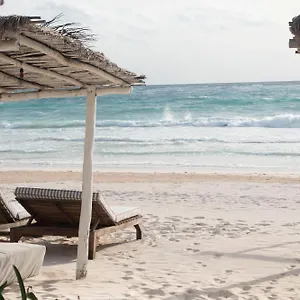 https://tuup-tulum.quintano-roohotels.com